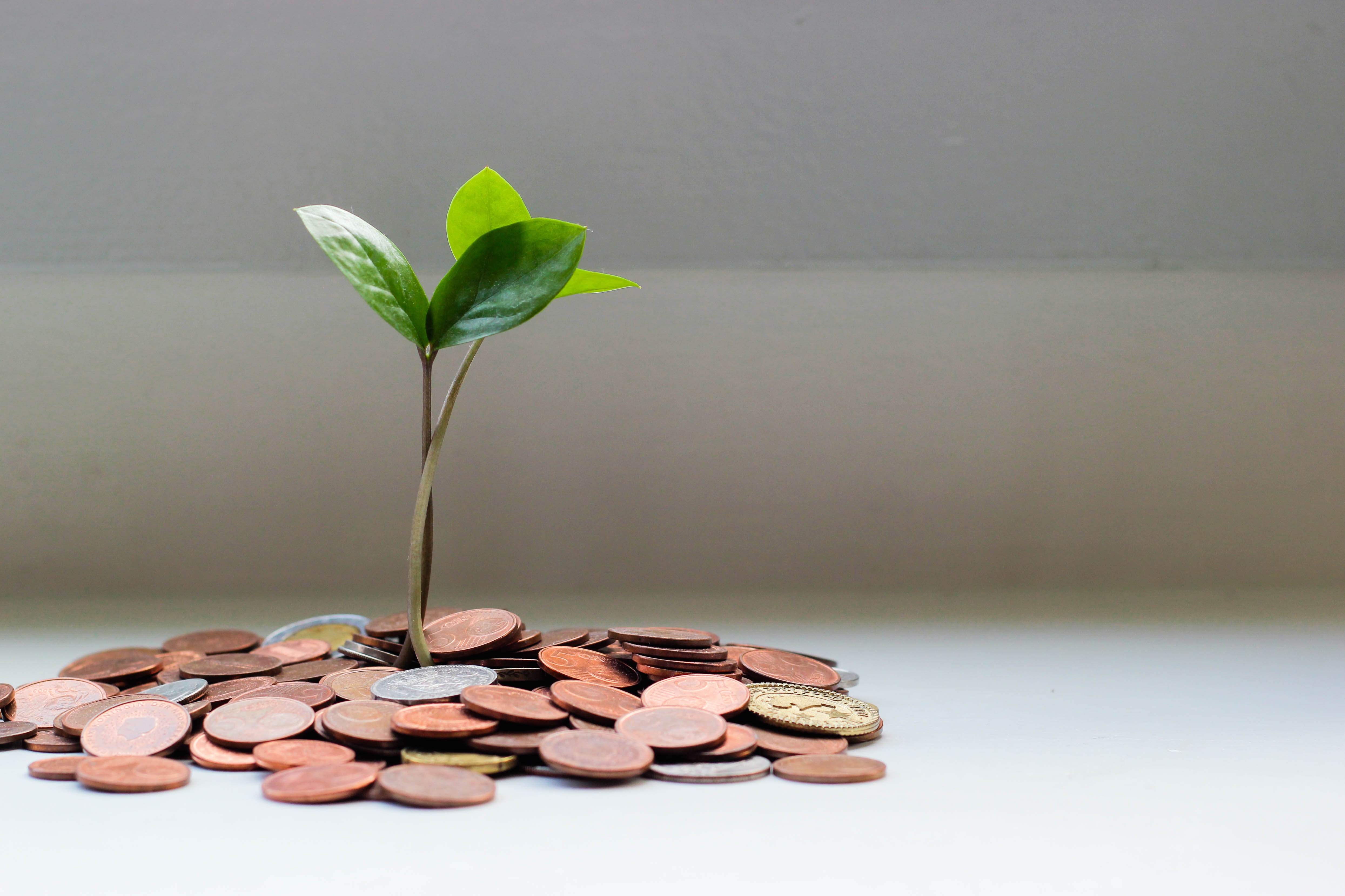 A stack of coins with a plant growing out of the top, symbolizing the growth of wealth through investments.